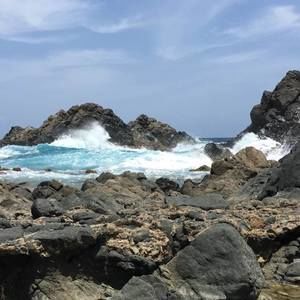 Meet your Posher, Robin